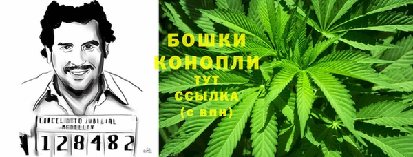PSILOCYBIN Армянск