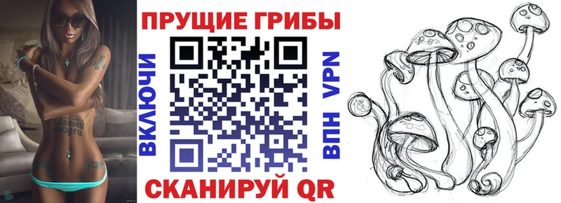 Галлюциногенные грибы мухоморы  продажа наркотиков  Чаплыгин 